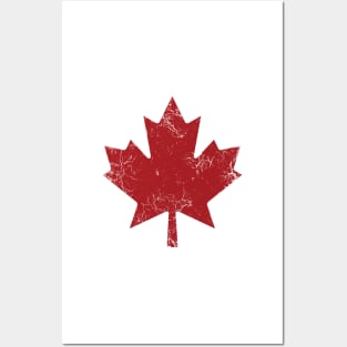 Maple Leaf Posters and Art